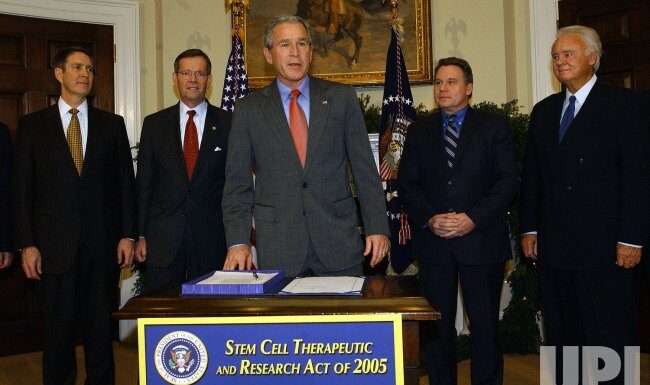 Stem Cell Research Funding Threatened Under Bush Administration Policies