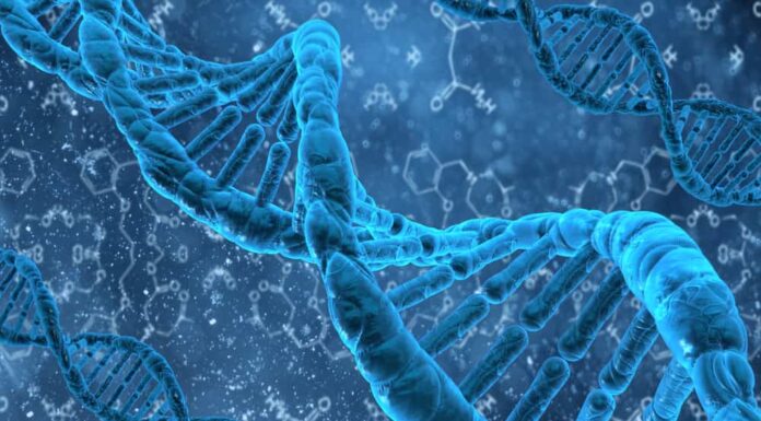 DNA Evidence Links Anti-Abortion Extremist Kopp to Another Shooting Incident