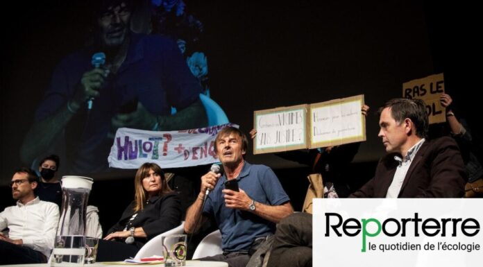 Que disent les associations féministes sur l’affaire Nicolas Hulot ? Prises de position