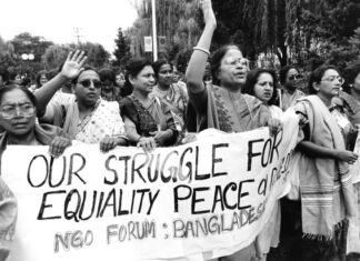 Record NGO Participation Marks Historic Beijing Women’s Conference: A Paradigm Shift in Feminist Discourse