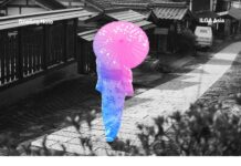 Japan Supreme Court Upholds Sterilization Law for Gender Change Recognition