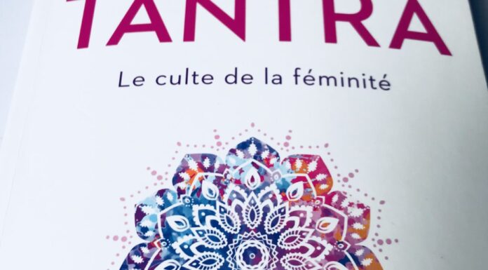 Dans la fleur de la féminité : célébrer la force douce du mouvement égalitaire