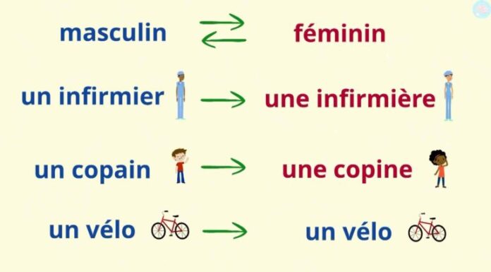 Vers masculin-féminin : L’harmonie des genres en construction