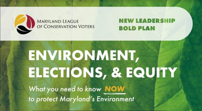New Leadership Alliance Chapter Launches in Maryland