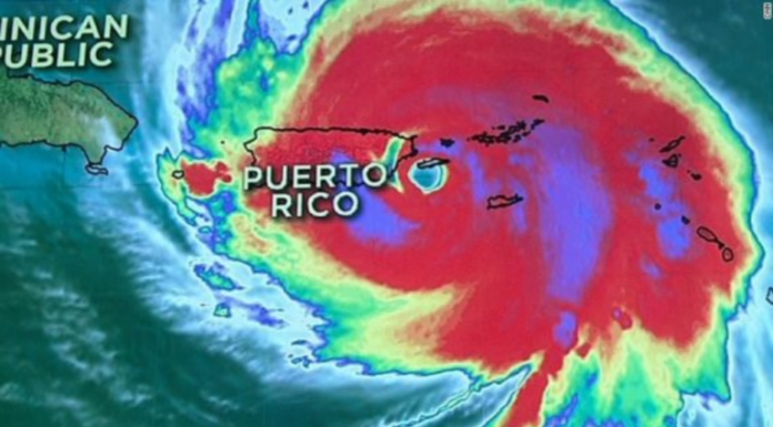 New Report Reveals Hurricane Maria Death Toll Far Higher Than Initially Claimed