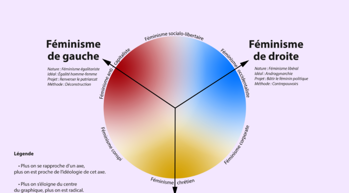 Pourquoi le féminisme est intrinsèquement politique ? Intersection et pouvoir