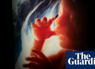 New Study Finds Pollution in Placentas May Threaten Fetal Health