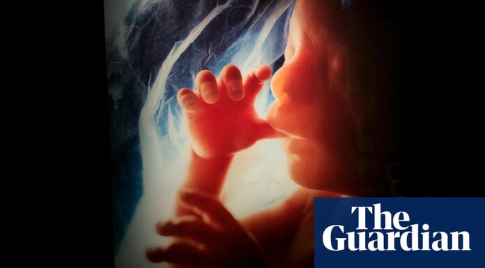 New Study Finds Pollution in Placentas May Threaten Fetal Health