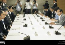 Japanese Government Panel Urges Action on Domestic Violence