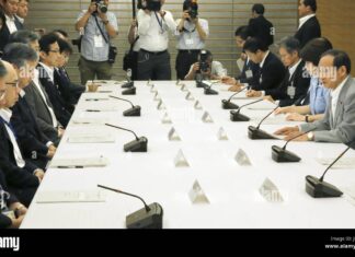 Japanese Government Panel Urges Action on Domestic Violence