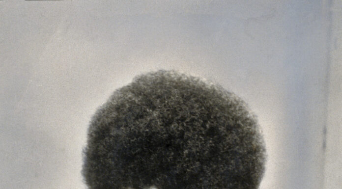 Angela Davis Responds to Connerly’s Public Criticism with Strong Rebuke