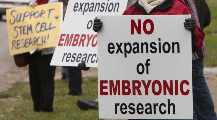 U.S. Senators Push for Changes to Restrictive Stem Cell Research Policy