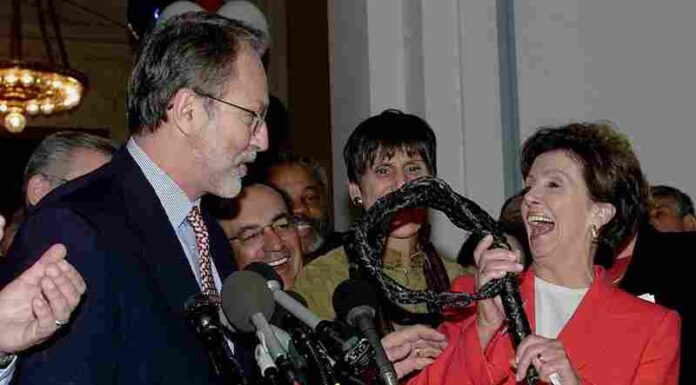 Nancy Pelosi’s Election as Democratic Whip Marks Victory for Women’s Rights