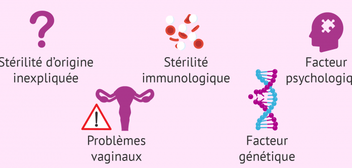Cause de stérilité féminine : démêler le vrai du faux