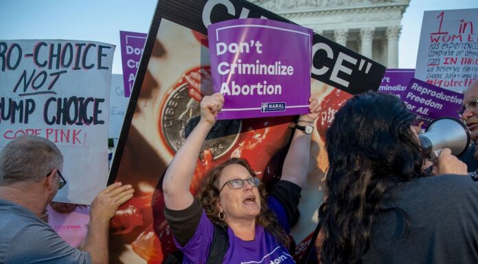 Pro-Choice Republicans Urge Platform Reform Ahead of Election