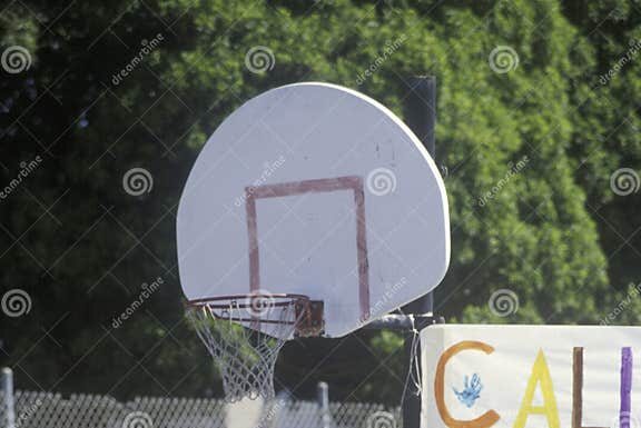 Governor Wilson Urges Dole to Show True Opposition to Affirmative Action