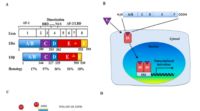 New Gene Technology Shows Promise in Advancing Breast Cancer Treatment