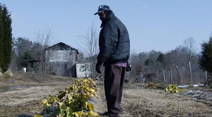 Black Farmers Demand Long-Awaited Settlement for Discrimination Claims