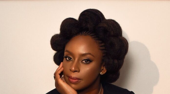 Auteur : Chimamanda Ngozi Adichie