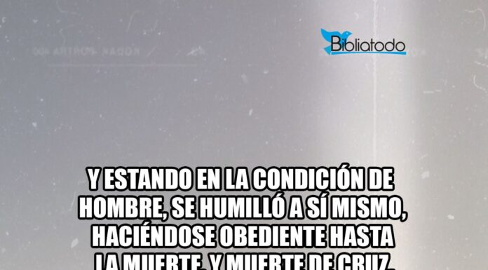 La fémina en Filipenses: Reflexiones bíblicas con perspectiva de género