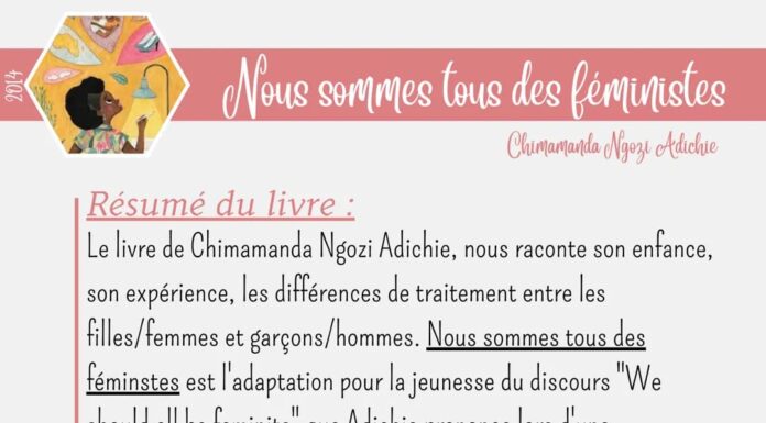 Résumé PDF : Nous sommes tous des féministes