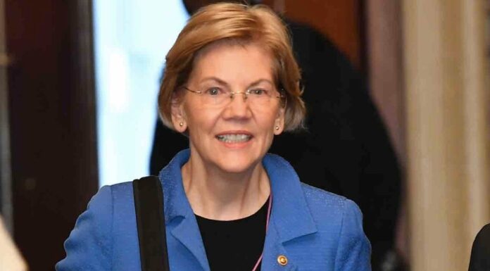 Elizabeth Warren Pledges Gender Equity in Cabinet Appointments