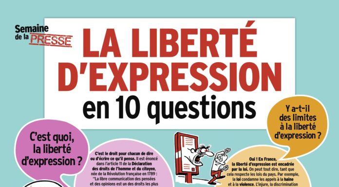 Pourquoi “Tout le monde devrait être féministe” en version libre ? Liberté d’expression