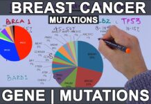 Breast Cancer Gene Mutation May Determine Whether It Fights or Fuels Tumors