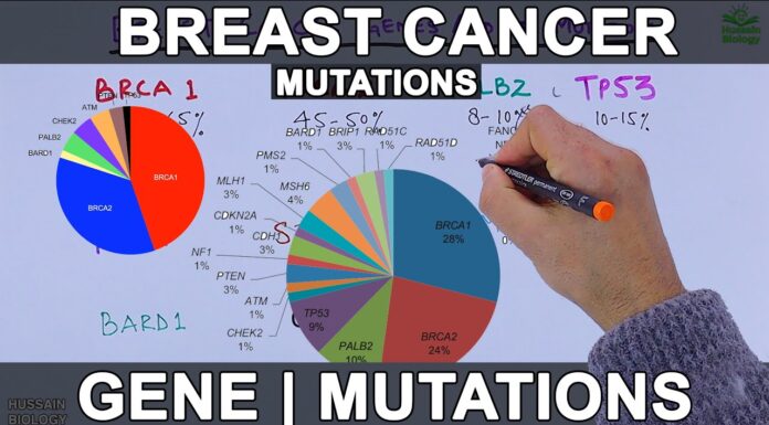 Breast Cancer Gene Mutation May Determine Whether It Fights or Fuels Tumors