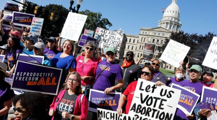 Michigan House Votes to Renew Telemedicine Abortion Ban