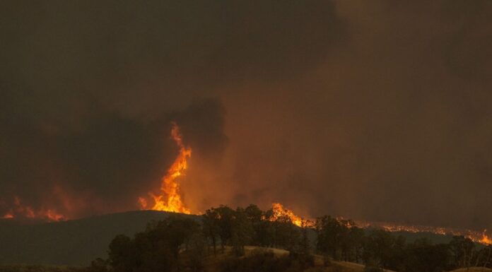 Wildfires Rage Across California as Evacuations and Damage Mount
