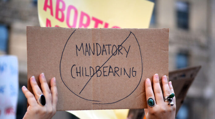 South Carolina Bill Proposes Compensation for Pregnant People Forced to Give Birth