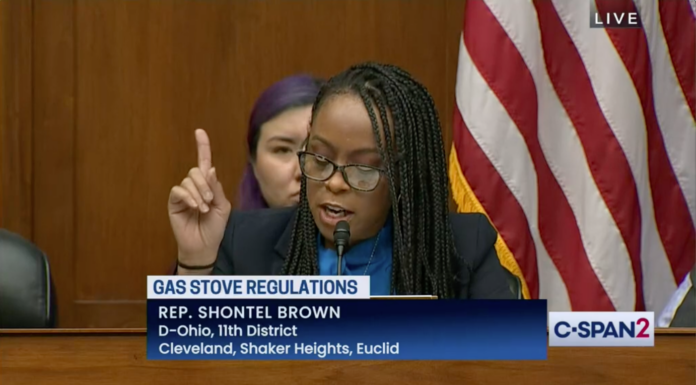 Congresswomen Call for Oversight in Mitsubishi Harassment Investigation