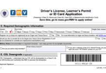 Massachusetts Now Offers Non-Binary Gender Option on Driver’s Licenses
