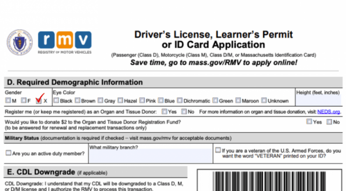 Massachusetts Now Offers Non-Binary Gender Option on Driver’s Licenses