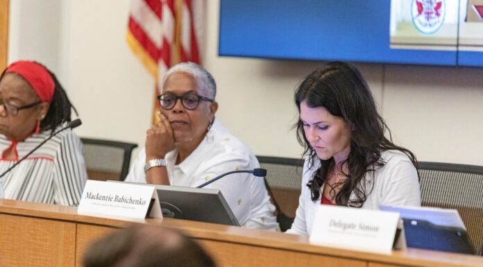 Virginia Redistricting Plan Hurts Women Legislators: A Gendered Impact