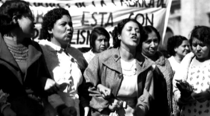 A punt y la vaga feminista del 14 de noviembre: Memorias de lucha