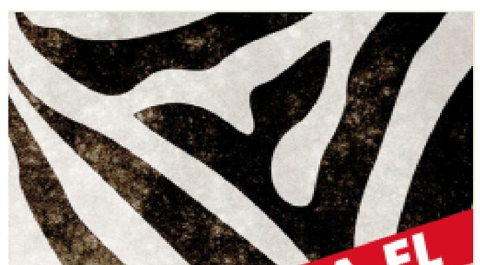 ¿Qué es el patriarcado? (PDF sobre feminismo) Entiéndelo a fondo