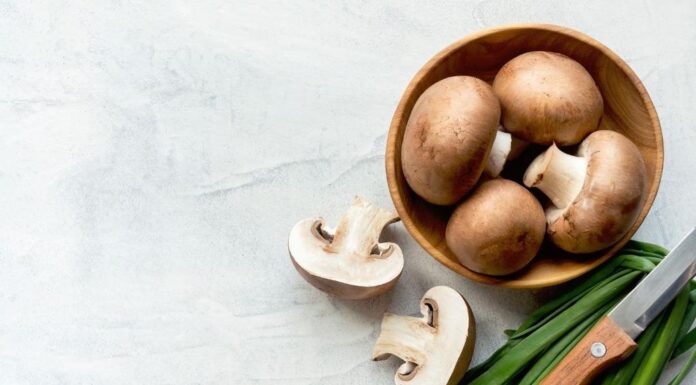 Can Pregnant Women Eat Shrooms? Mushrooms on the Menu During Pregnancy