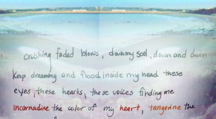 Anna Stuart’s Women of War Series: Historical Fiction Worth Reading