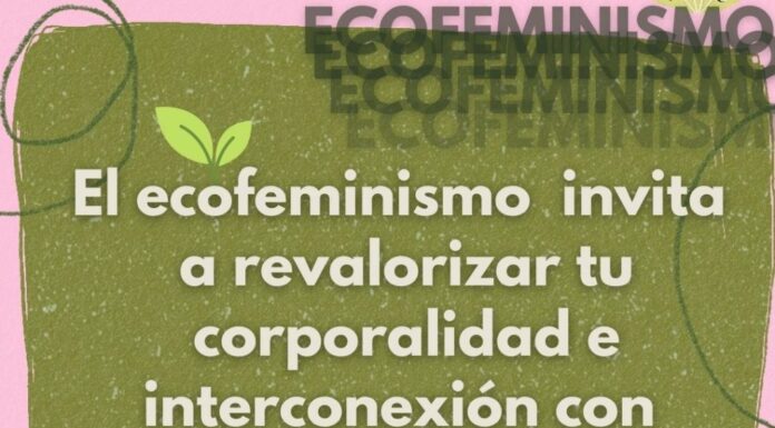 ¿Qué es el ecofeminismo? Naturaleza y género en alianza