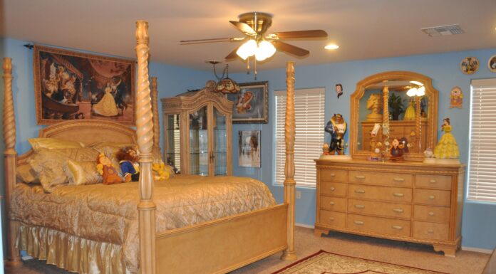 Beauty and the Beast Gifts for Women: Enchanting Presents for Every Fan