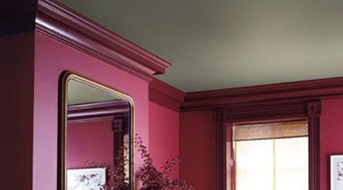 Ankle Boots for Women Burgundy: Bold Color Big Statement