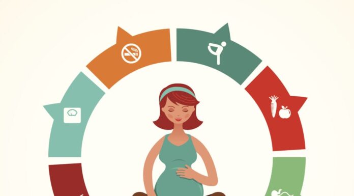 Can Pregnant Women Eat Doner Kebab? Street Food Safety