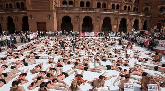 ¿Por qué las feministas se desnudan? El cuerpo como arma de protesta