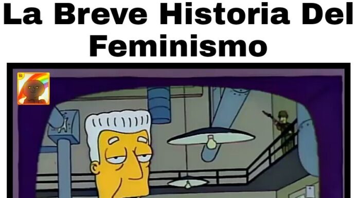 ¿Esto es un feminismo? Analizando memes virales