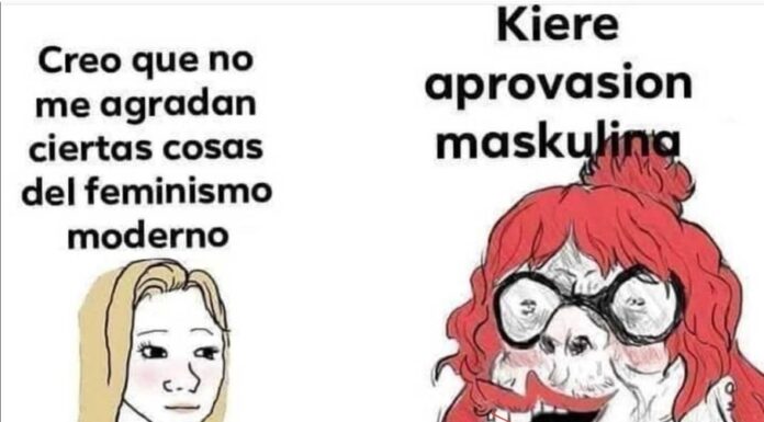 ¿Qué es realmente el feminismo? (Meme viral explicado) Entre humor y seriedad