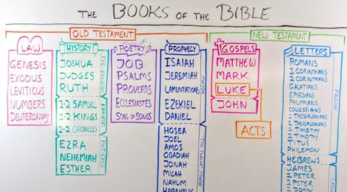 Books in the Bible Written by Women: Are There Any? Let’s Explore