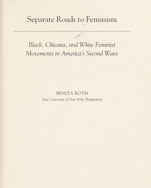 Tanzania’s Feminist Awakening: Second Wave Movements in the Motherland