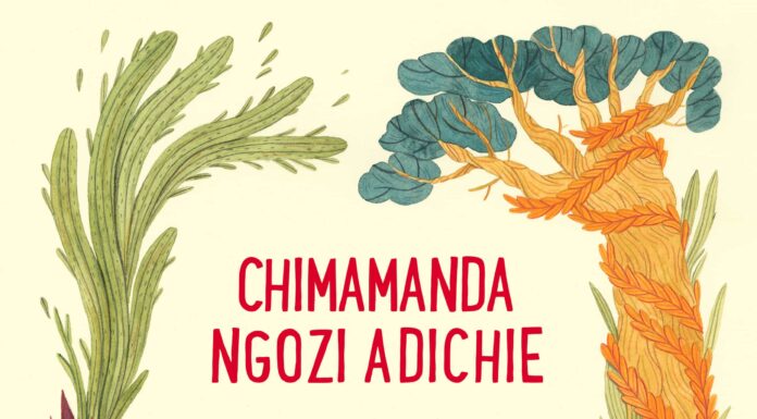 ‘Todos deberíamos ser feministas’ de Chimamanda: Descargar PDF gratis